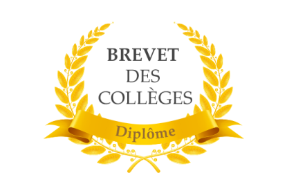 Résultats du Brevet Français – 100 % de réussite pour le Lycée Iman !